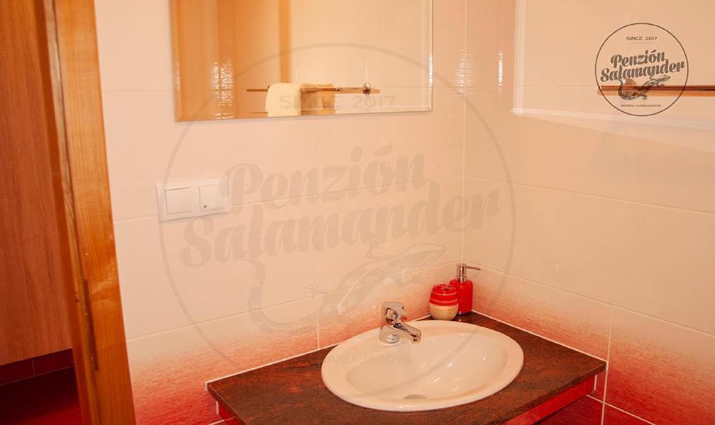 Penzion Salamander Terchová Exterior foto